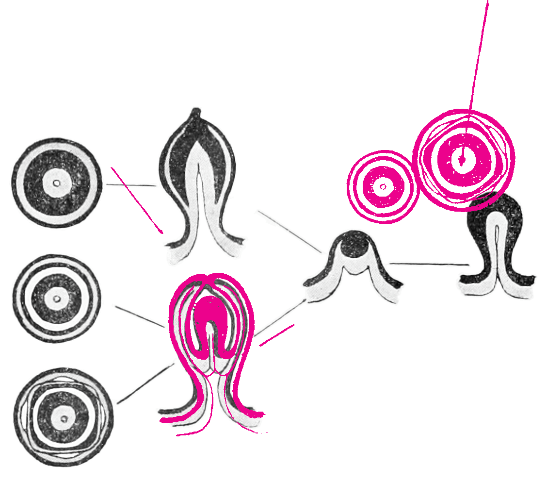 Forum Artistic Research